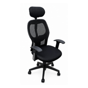 Ergonomic Mesh Office Chair with Headrest and Lumbar Support - High Back Desk Chair (Black)